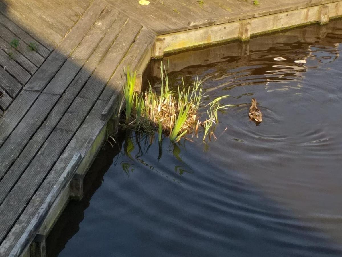 Huisje Aan Het Water, Omgeving Amsterdam Villa Заандам Екстериор снимка