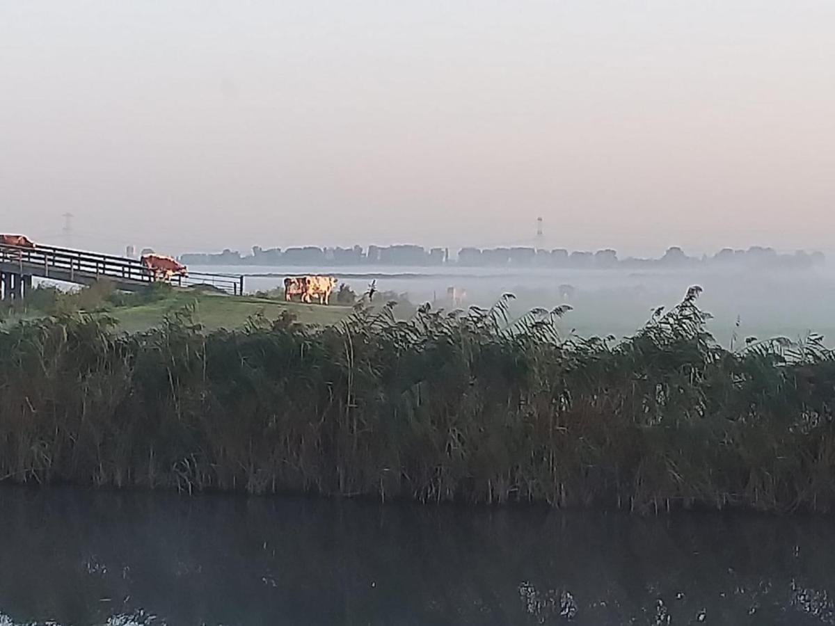 Huisje Aan Het Water, Omgeving Amsterdam Villa Заандам Екстериор снимка